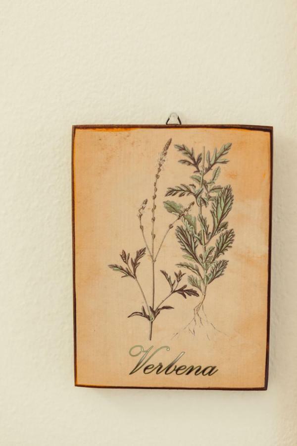 B&B Artemisia Алгеро Екстериор снимка